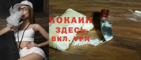 хмурый Алексин