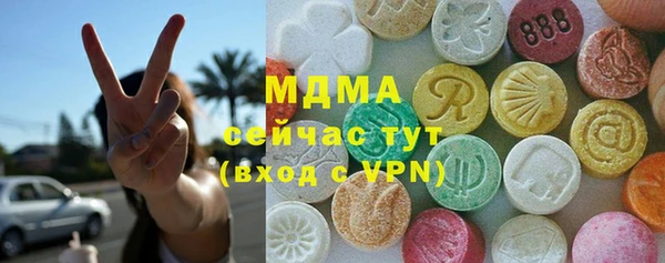 хмурый Алексин