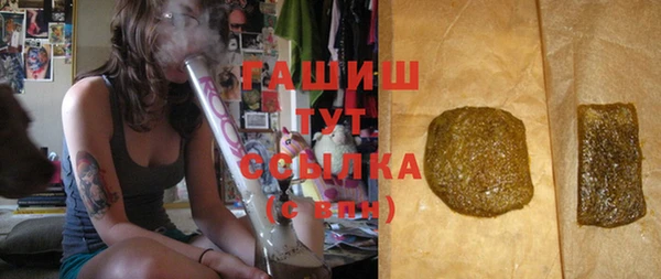 хмурый Алексин